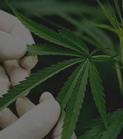 https://nymedicalcard.com/wp-content/uploads/2019/10/abt-1.jpg