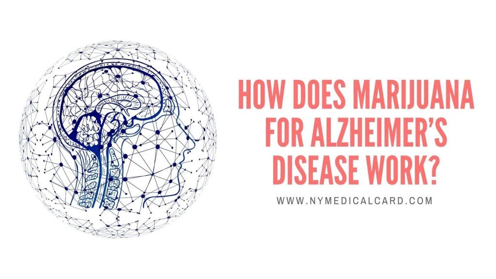 How Does Marijuana For Alzheimer’s Disease Work?